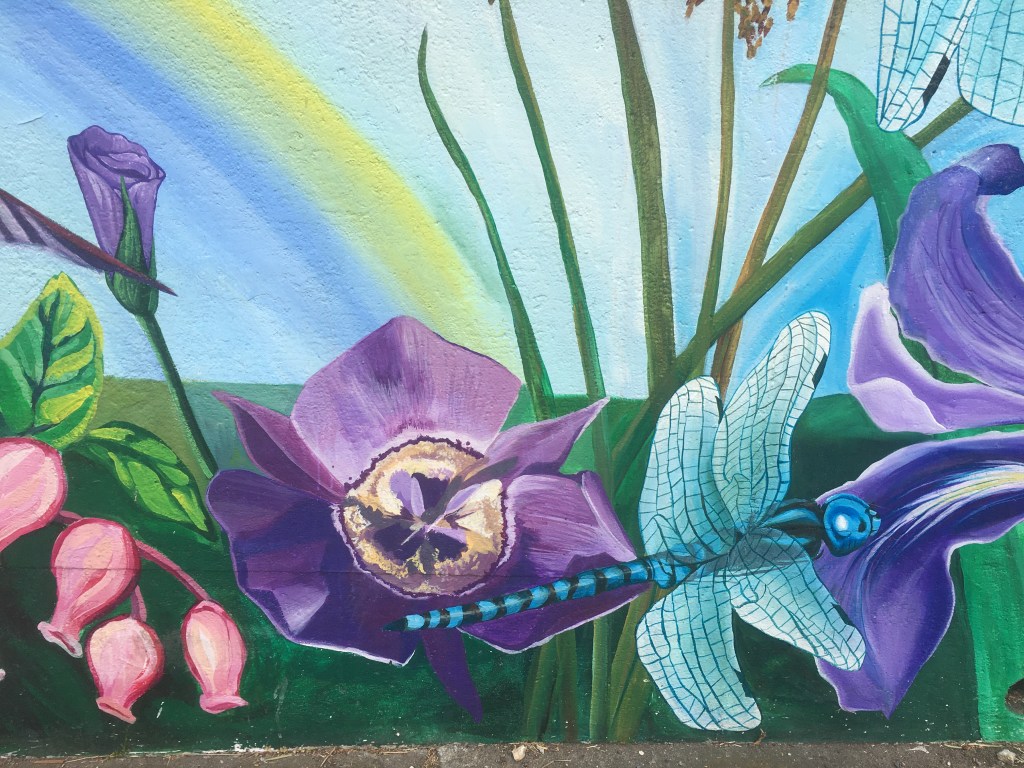 Laguna Honda Hospital Phase&nbsp;3