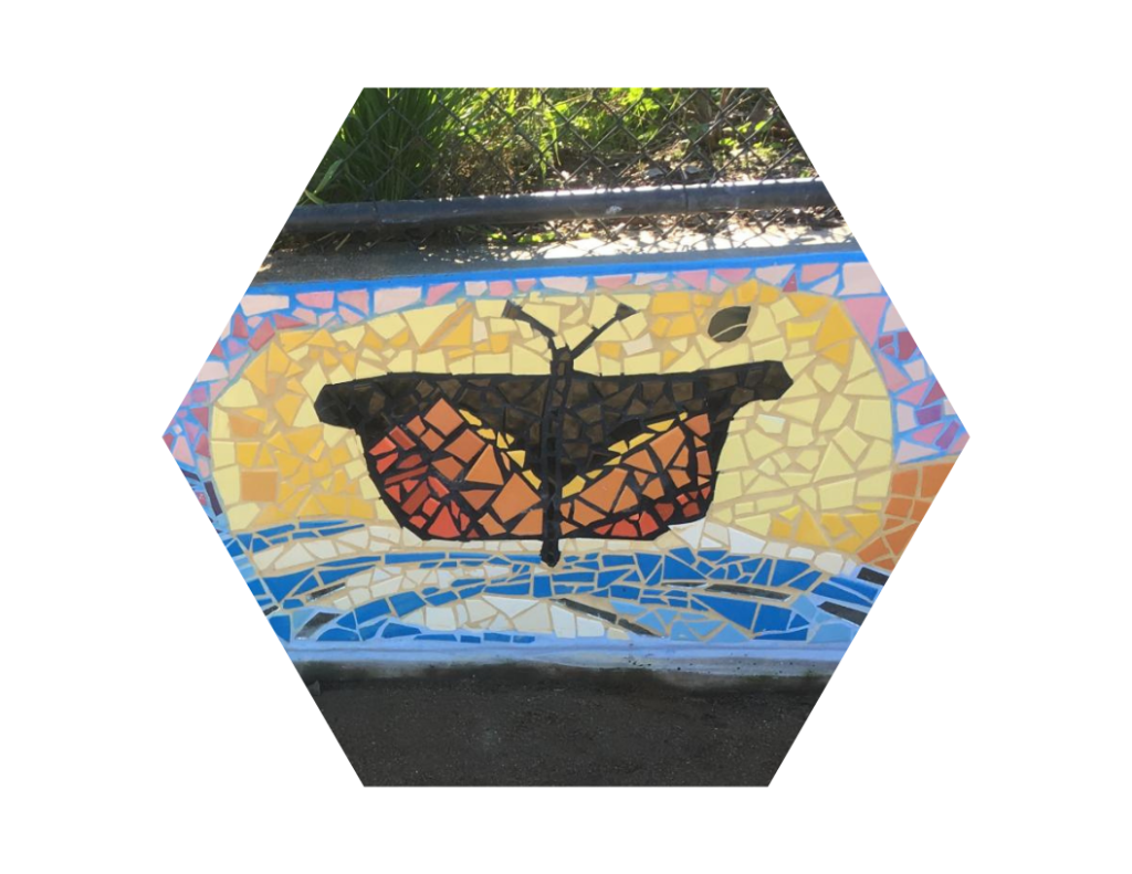 Butterflies Forever!